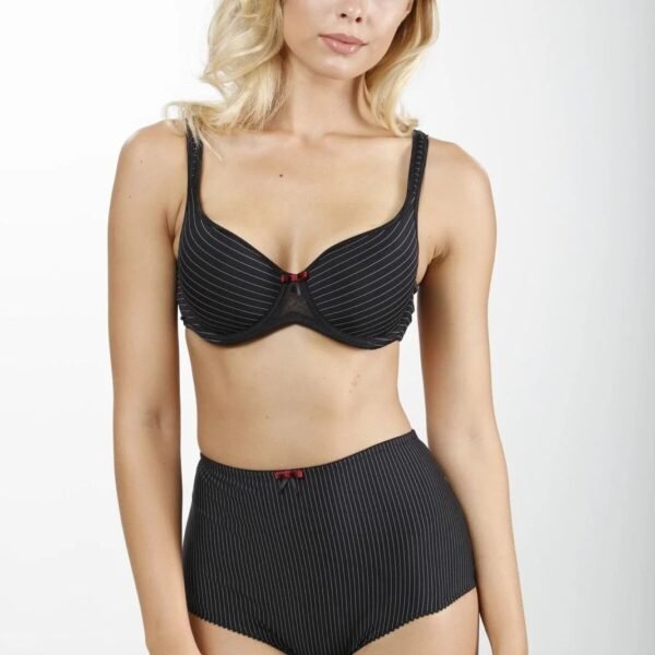 Büstqalter damalı model