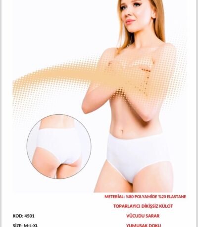 Toparlayıcı Tikişsiz Alt Geyim – Belinay 4501